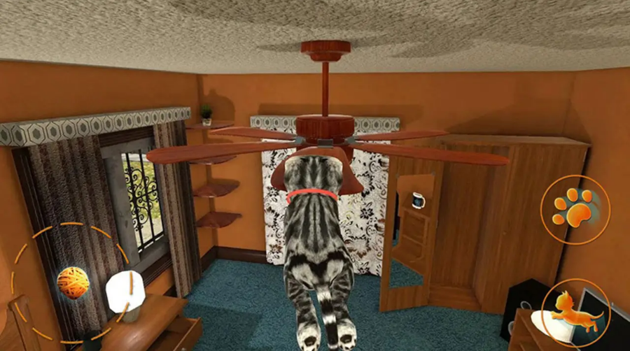 小猫历险记 小猫历险记