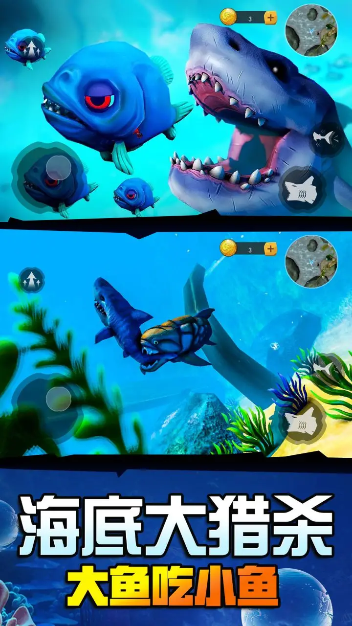 海底鲨鱼大猎杀
