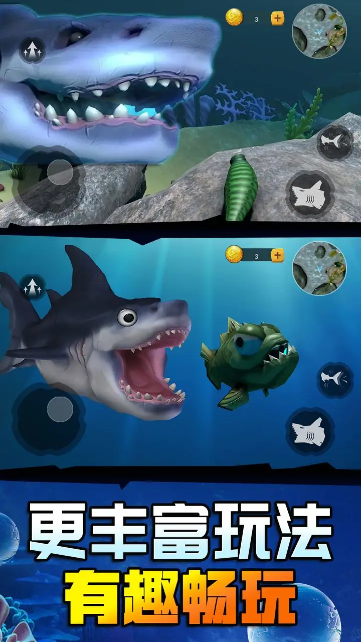 海底鲨鱼大猎杀