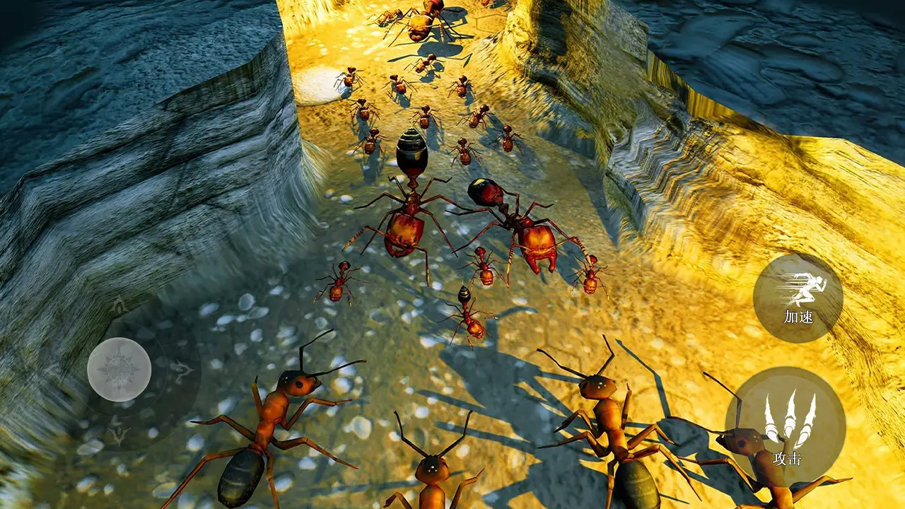 昆虫捣蛋模拟-地下蚁国 昆虫捣蛋模拟-地下蚁国