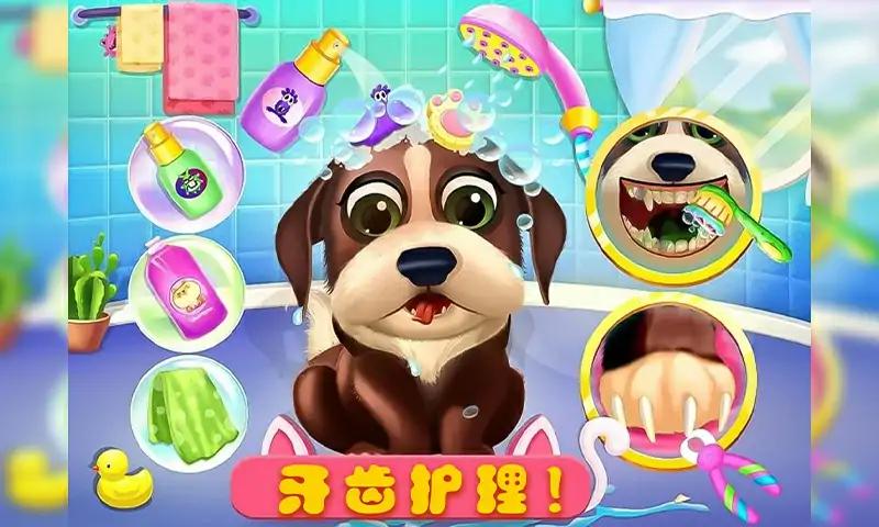 小狗护理指南-宠物日托 小狗护理指南-宠物日托