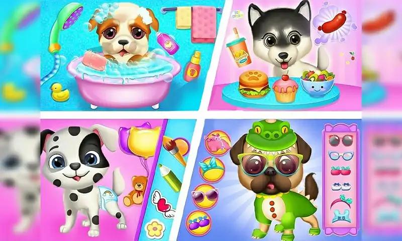 小狗护理指南-宠物日托 小狗护理指南-宠物日托