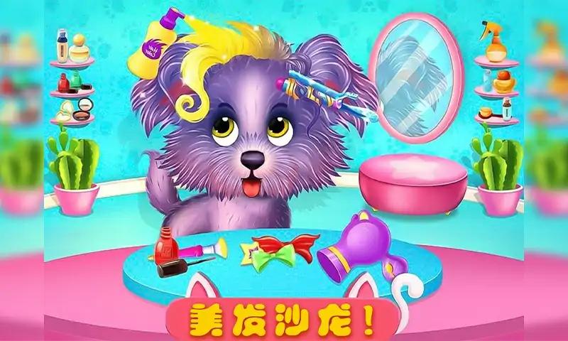 小狗护理指南-宠物日托 小狗护理指南-宠物日托