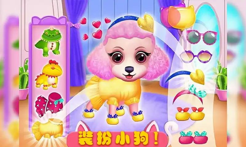 小狗护理指南-宠物日托 小狗护理指南-宠物日托