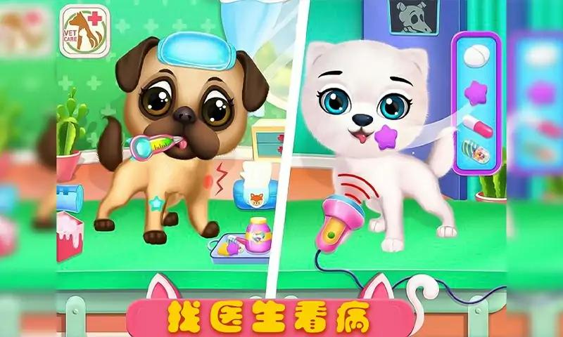 小狗护理指南-宠物日托 小狗护理指南-宠物日托