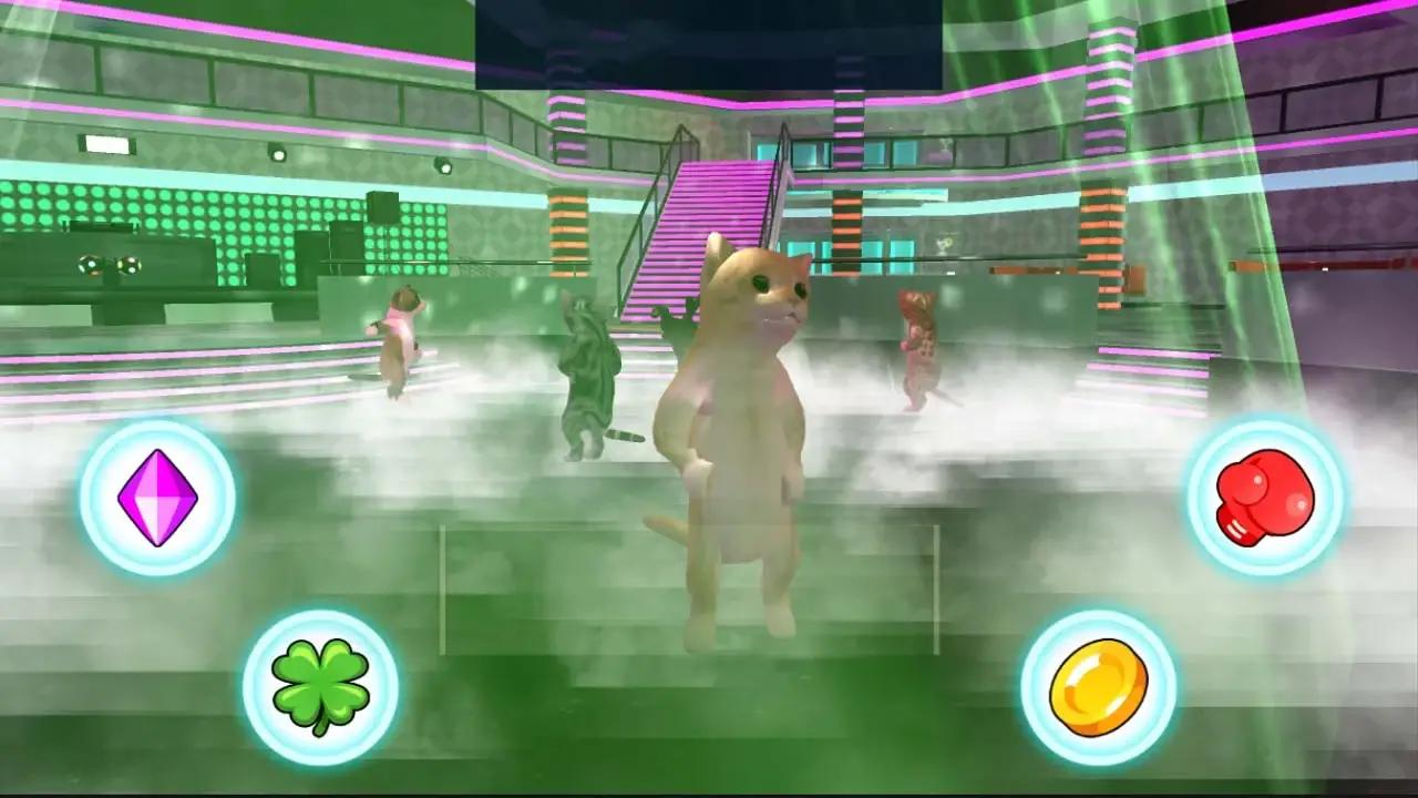 猫咪之家 猫咪之家