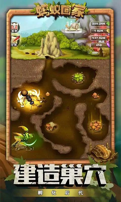 蚂蚁回家 蚂蚁回家