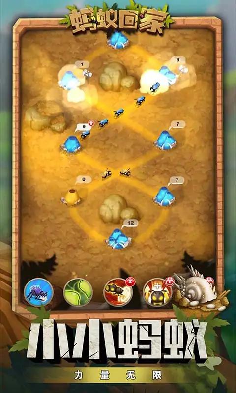 蚂蚁回家 蚂蚁回家