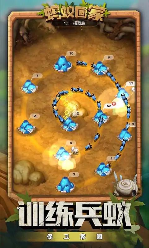 蚂蚁回家 蚂蚁回家