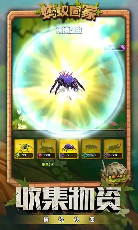 蚂蚁回家 蚂蚁回家