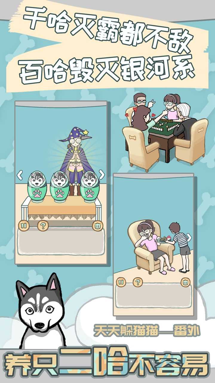 养只二哈不容易