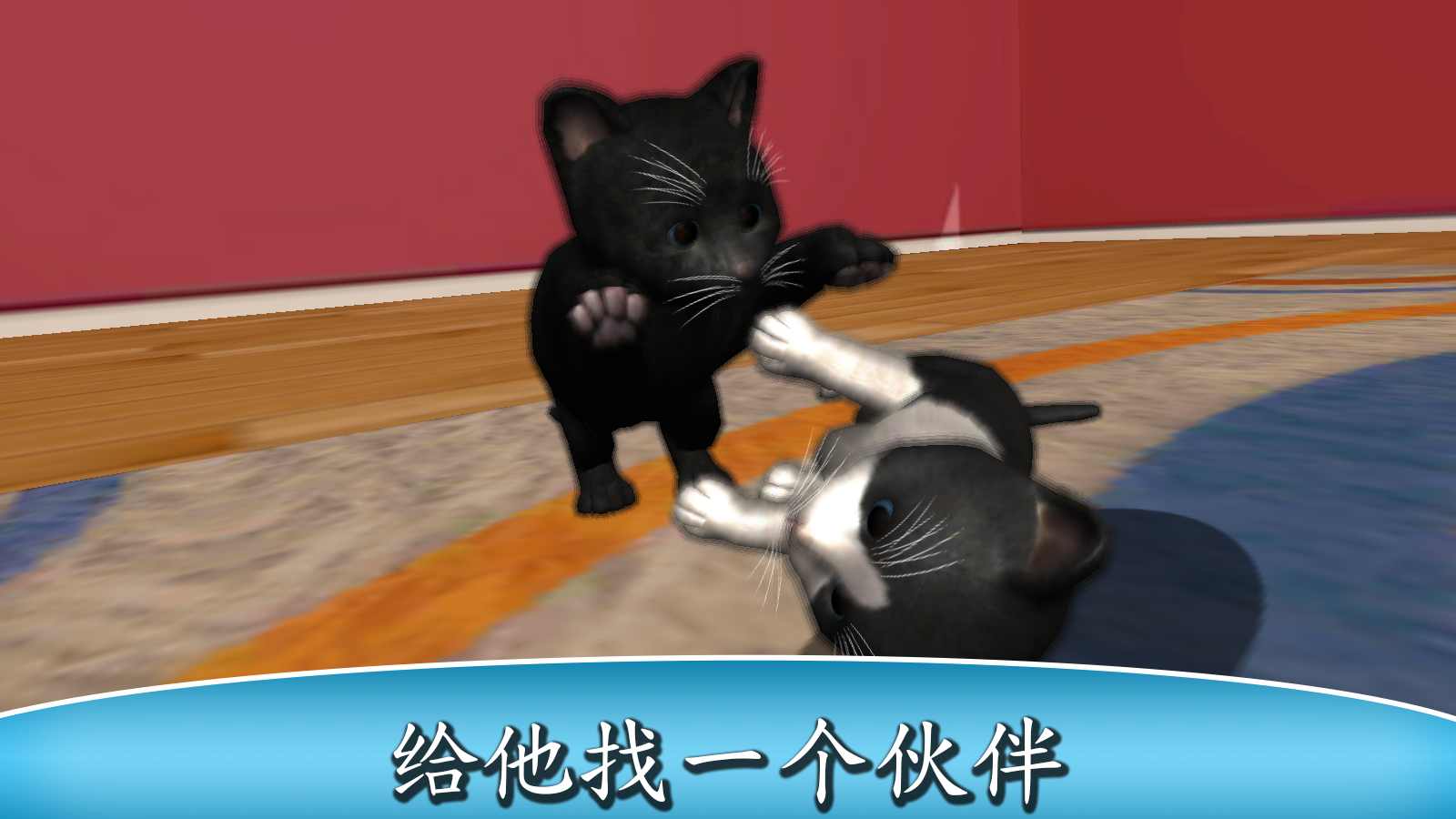 猫咪小宝贝 猫咪小宝贝