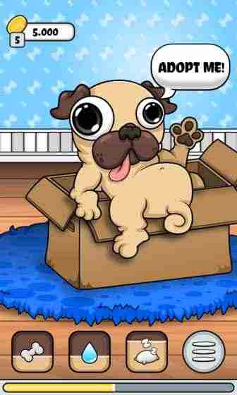 我的宠物狗狗帕格