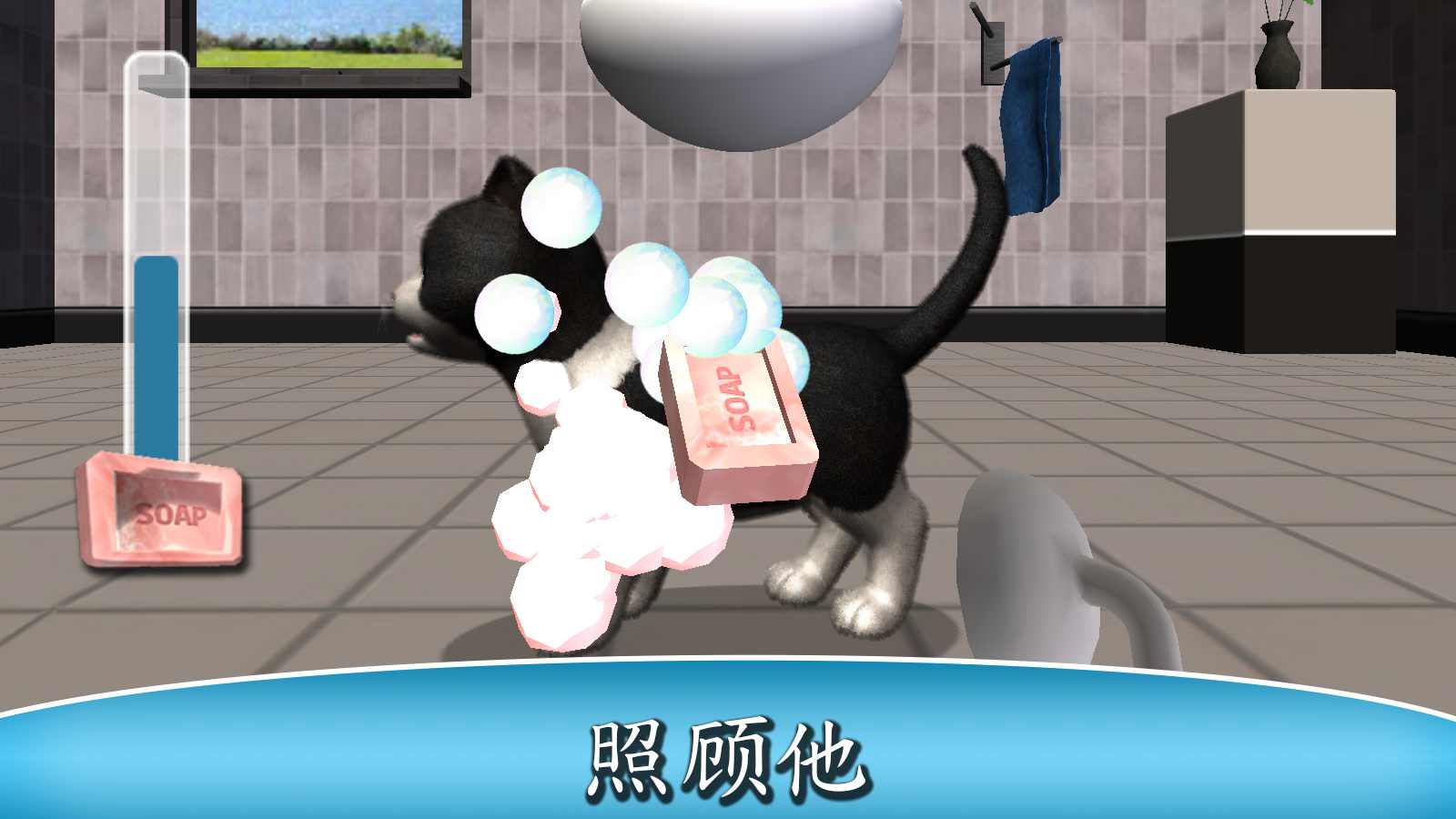 猫咪小宝贝 猫咪小宝贝