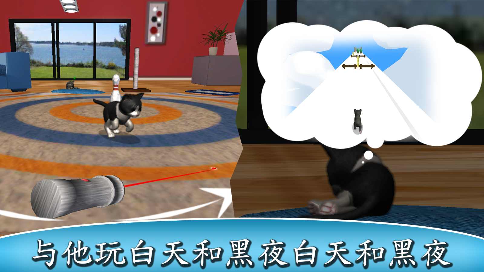 猫咪小宝贝 猫咪小宝贝