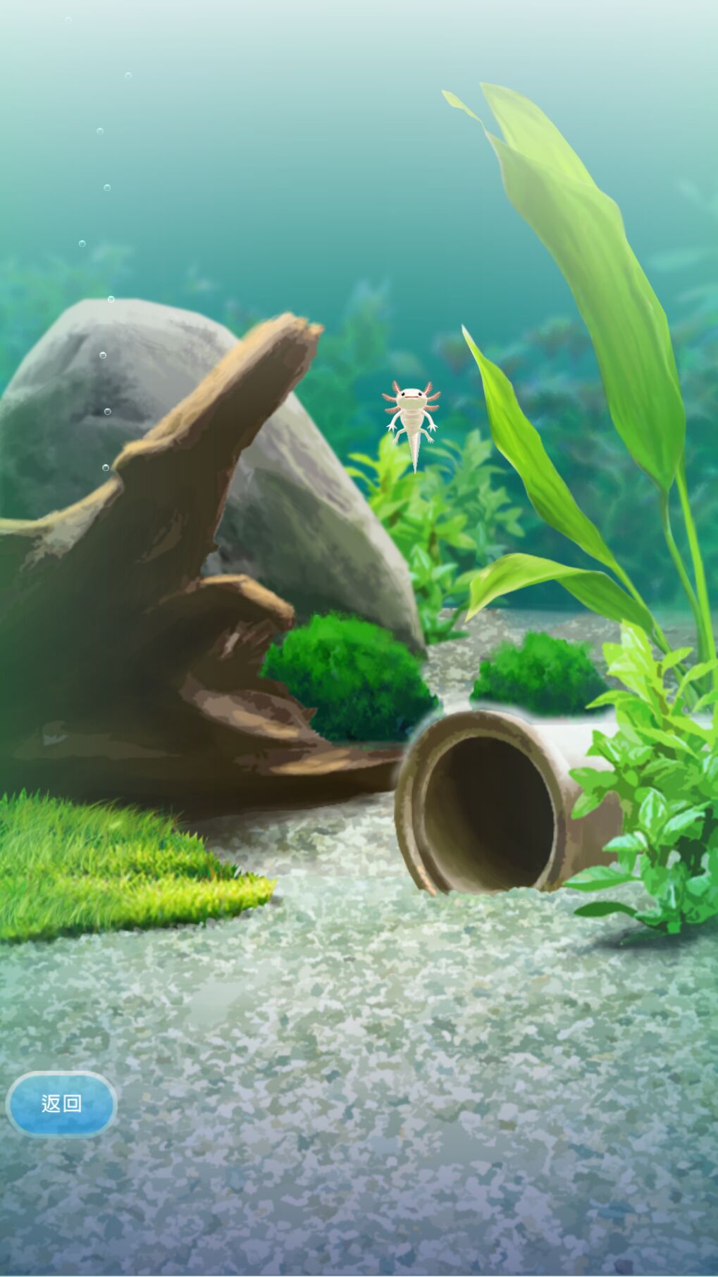 治愈的蝾螈养成