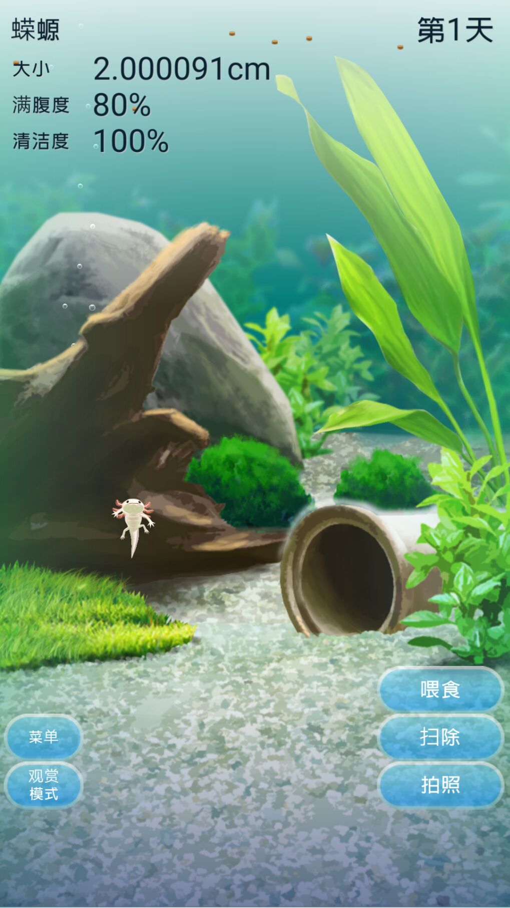 治愈的蝾螈养成