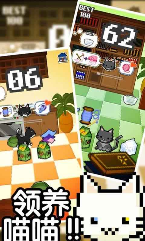 我家猫咪很任性