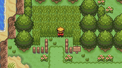 口袋妖怪：釉色