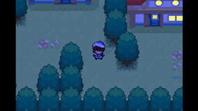 口袋妖怪:失落的三国 口袋妖怪:失落的三国