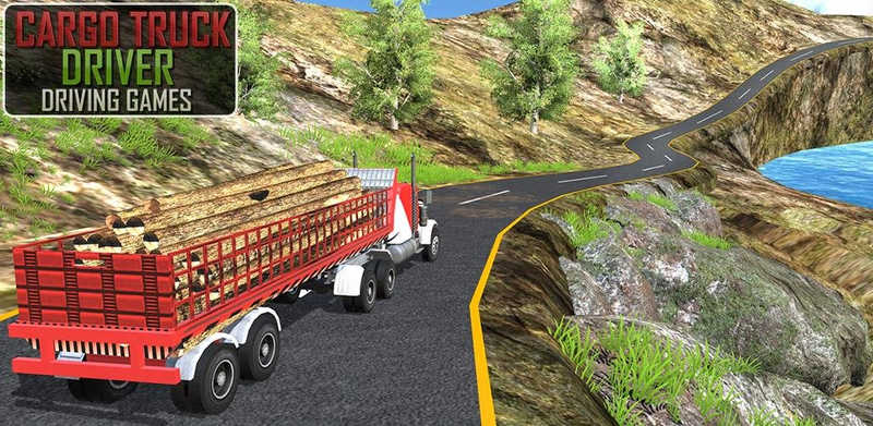 货运卡车司机 货运卡车司机