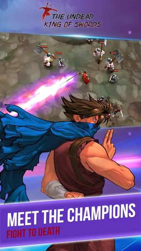 不死之剑的王 不死之剑的王