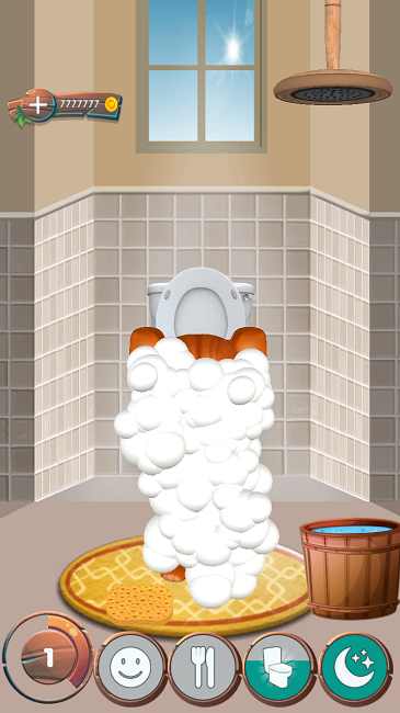 会说话的杰克猫 会说话的杰克猫