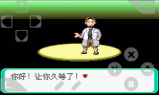 口袋妖怪漆黑魅影 口袋妖怪漆黑魅影