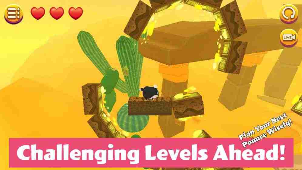 盒子里的猫2 盒子里的猫2