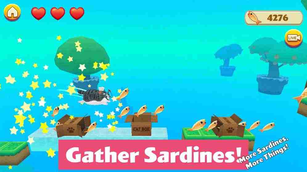 盒子里的猫2 盒子里的猫2