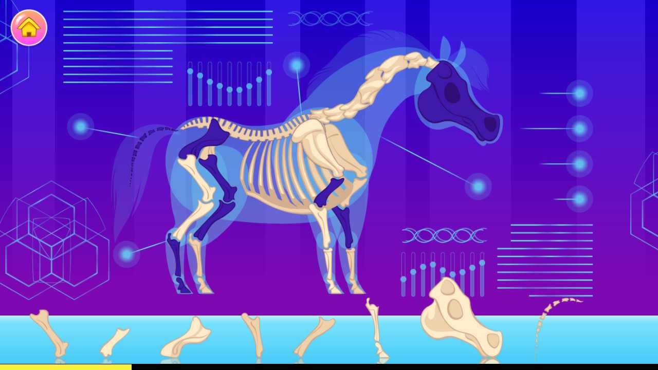 小马Pixie：我的迷你小马