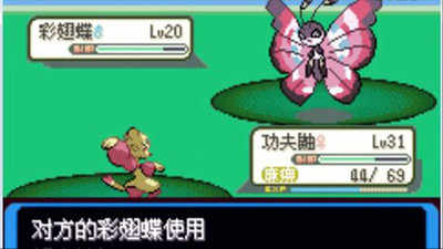 口袋妖怪：决心