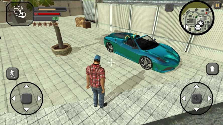 迈阿密汽车小团伙 迈阿密汽车小团伙