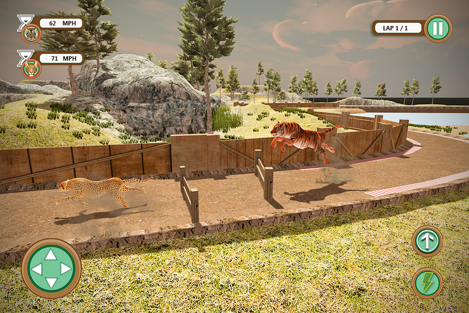 野生动物竞速 野生动物竞速