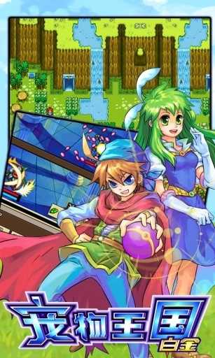 宠物王国：白金