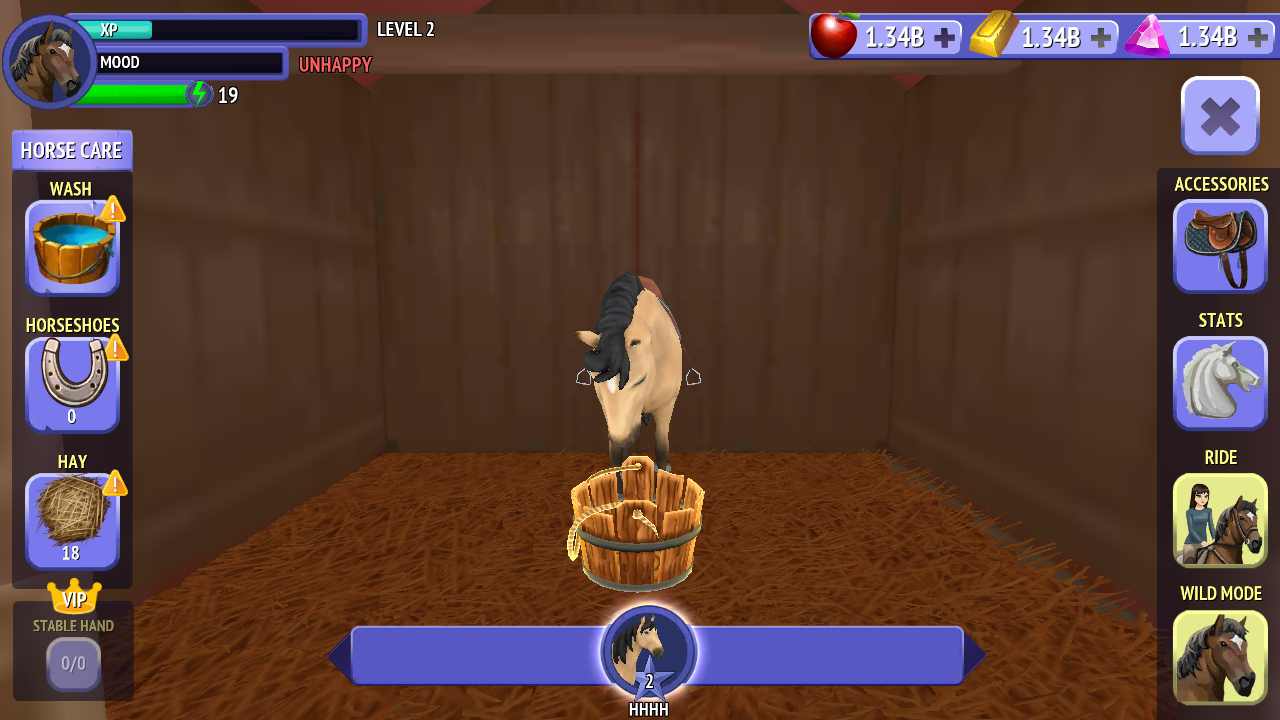 骑马的故事 骑马的故事