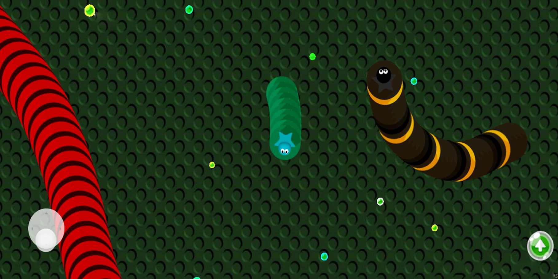 虫子大作战 虫子大作战