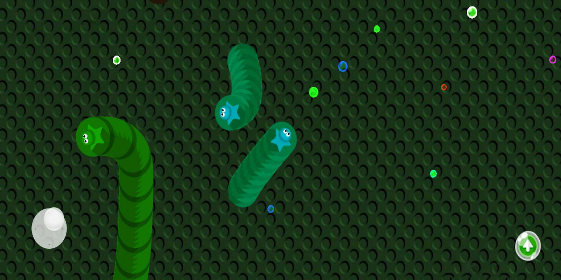 虫子大作战 虫子大作战