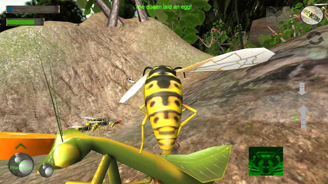黄蜂模拟器