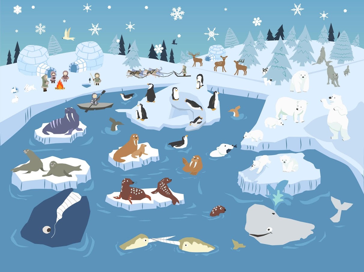 二哈躲猫猫 二哈躲猫猫