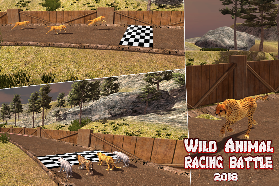 野生动物竞速 野生动物竞速