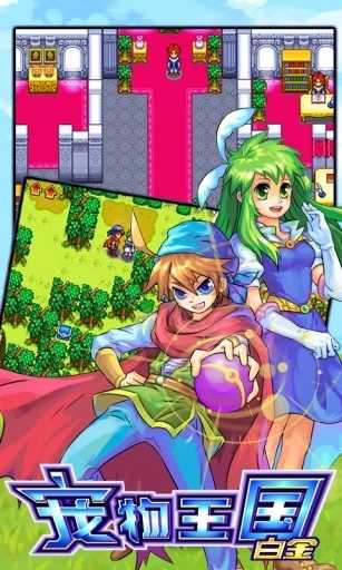 宠物王国：白金