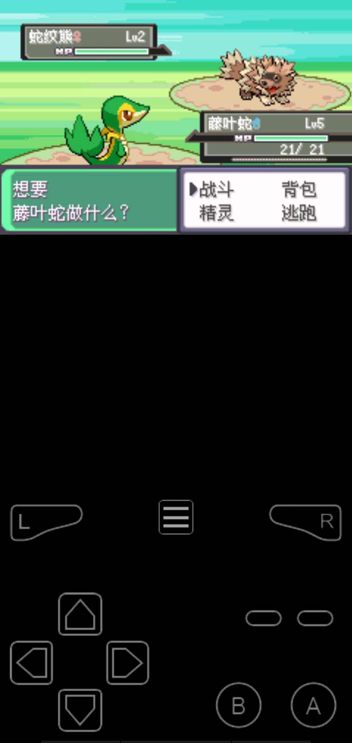 口袋妖怪漆黑的魅影(内置金手指)