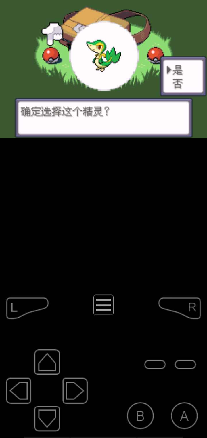 口袋妖怪漆黑的魅影(内置金手指)