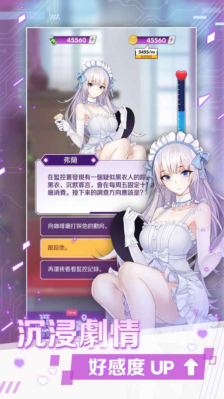 怪盜少女