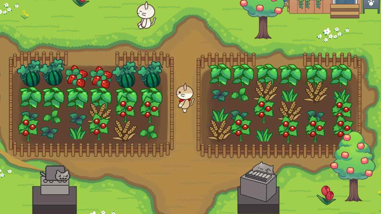 动物营地 - 度假村的故事 动物营地 - 度假村的故事