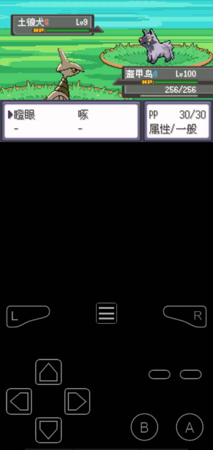 口袋妖怪 冠军的旅程