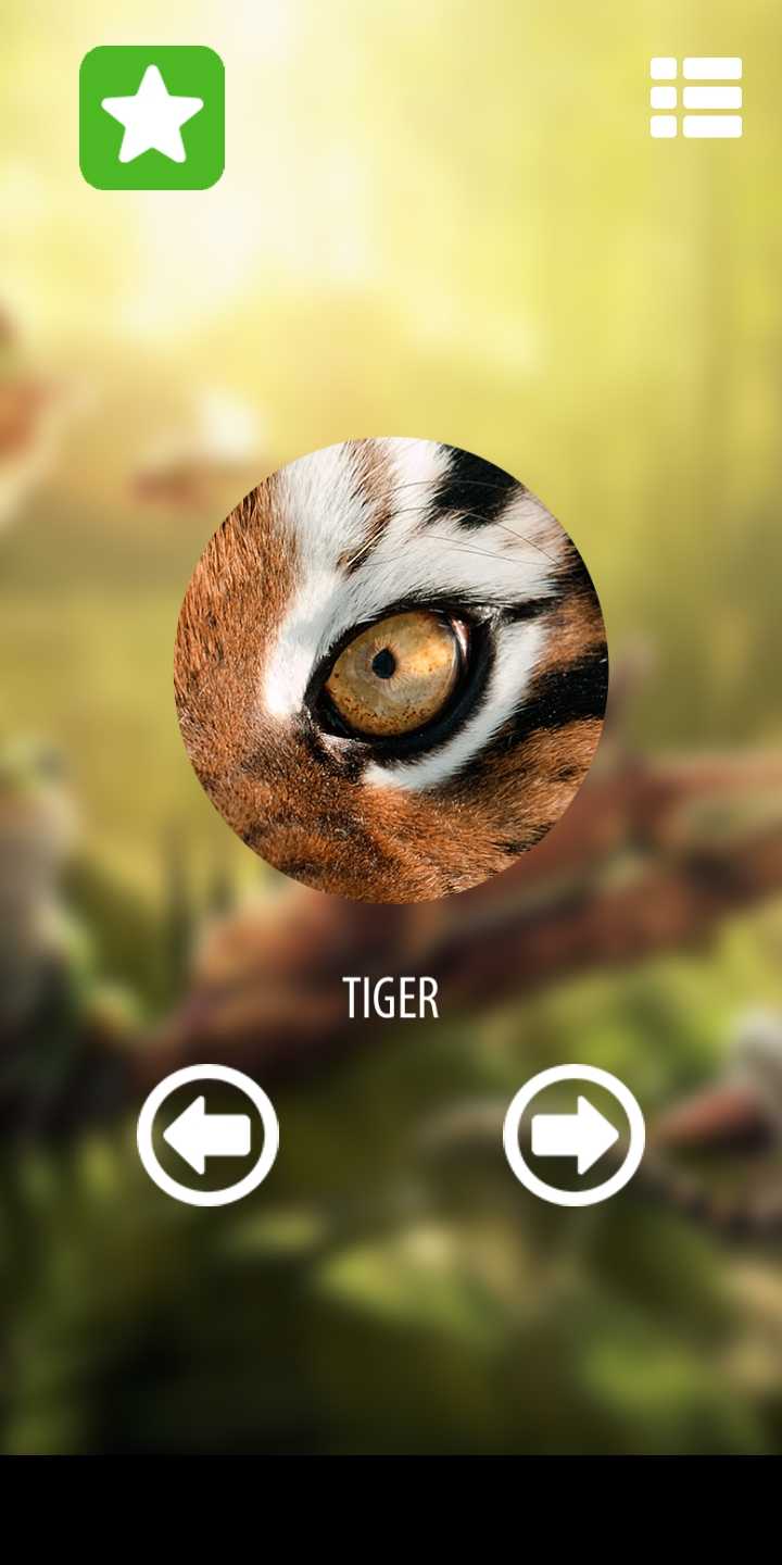 动物眼睛模拟器 动物眼睛模拟器