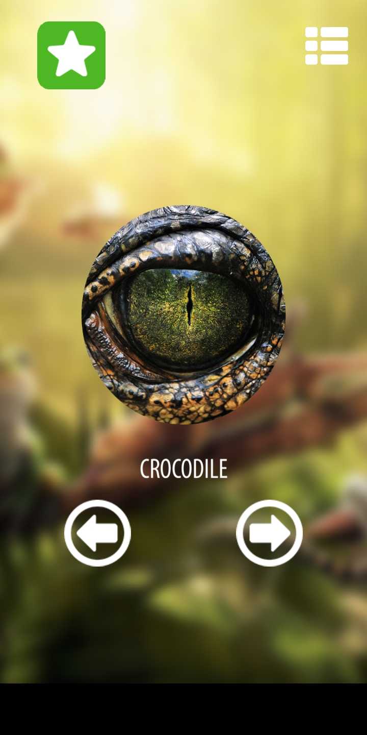 动物眼睛模拟器 动物眼睛模拟器