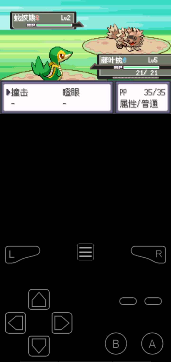 口袋妖怪漆黑的魅影(内置金手指)